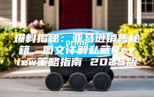 爆料揭秘：亚马逊销售秘籍，图文详解私藏Review策略指南 2025版
