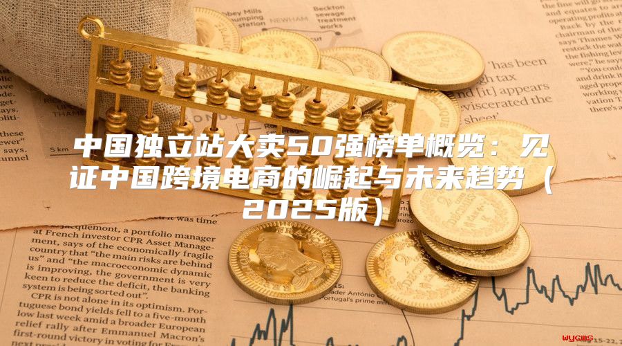中国独立站大卖50强榜单概览：见证中国跨境电商的崛起与未来趋势2025版