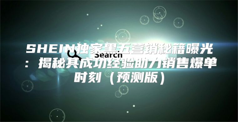 SHEIN独家黑五营销秘籍曝光：揭秘其成功经验助力销售爆单时刻预测版