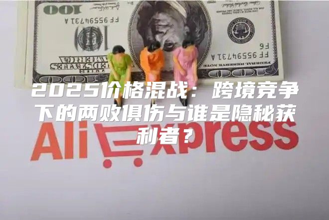 2025价格混战：跨境竞争下的两败俱伤与谁是隐秘获利者？