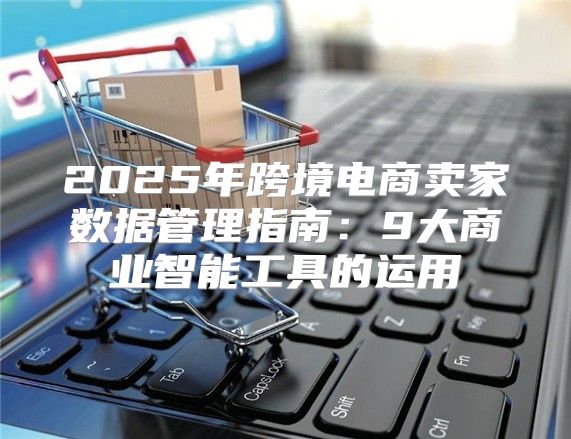 2025年跨境电商卖家数据管理指南：9大商业智能工具的运用