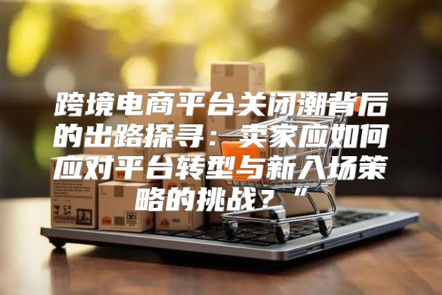 跨境电商平台关闭潮背后的出路探寻：卖家应如何应对平台转型与新入场策略的挑战？”