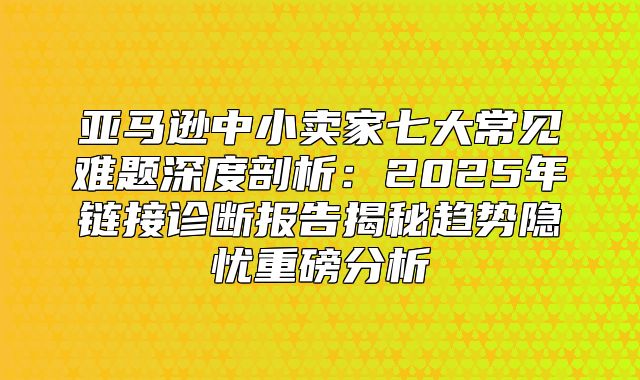 亚马逊中小卖家七大常见难题深度剖析：2025年链接诊断报告揭秘趋势隐忧重磅分析