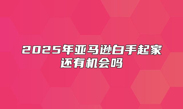 2025年亚马逊白手起家还有机会吗