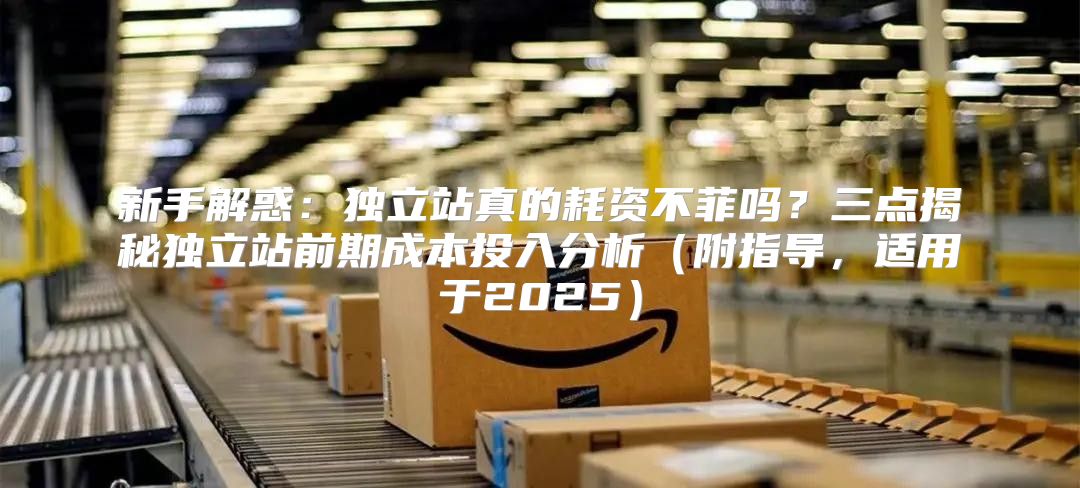 新手解惑：独立站真的耗资不菲吗？三点揭秘独立站前期成本投入分析附指导，适用于2025