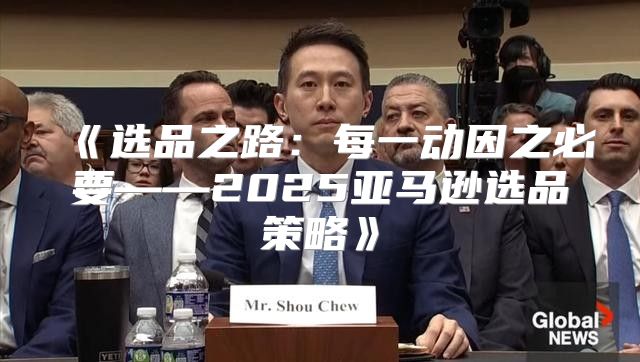 选品之路：每一动因之必要——2025亚马逊选品策略