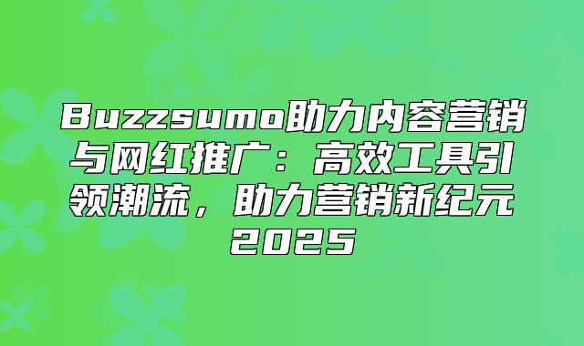 Buzzsumo助力内容营销与网红推广：高效工具引领潮流，助力营销新纪元2025