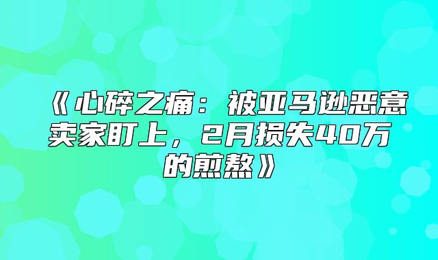 心碎之痛：被亚马逊恶意卖家盯上，2月损失40万的煎熬