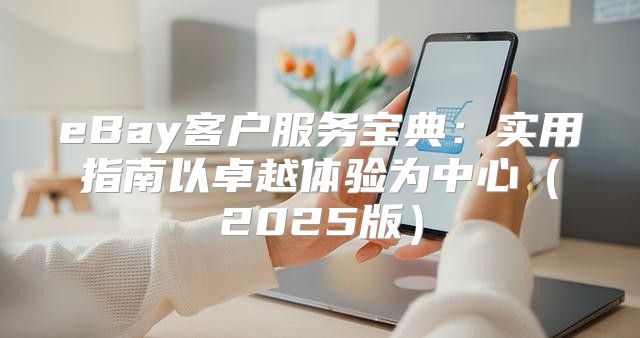eBay客户服务宝典：实用指南以卓越体验为中心2025版