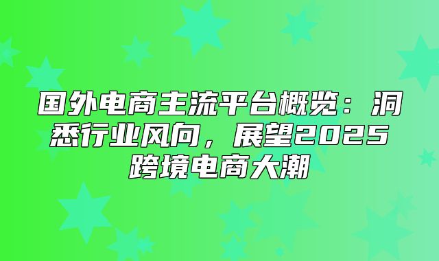 国外电商主流平台概览：洞悉行业风向，展望2025跨境电商大潮
