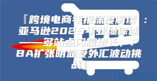 『跨境电商年报深度解读①：亚马逊2025年业绩综述——多站点闪耀增长，FBA扩张明显受外汇波动挑战』