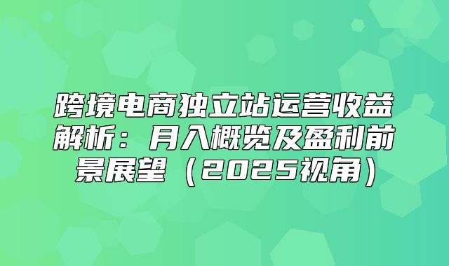 跨境电商独立站运营收益解析：月入概览及盈利前景展望2025视角