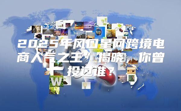 2025年风口星网跨境电商人气之王”揭晓，你曾投过谁？