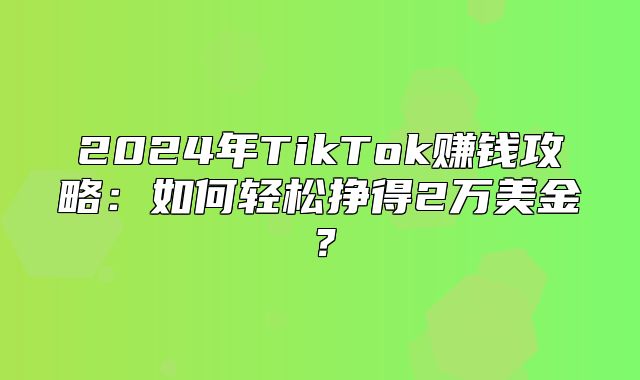 2025年TikTok赚钱攻略：如何轻松挣得2万美金？