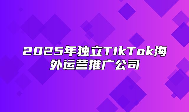 2025年独立TikTok海外运营推广公司