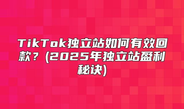 TikTok独立站如何有效回款？(2025年独立站盈利秘诀)
