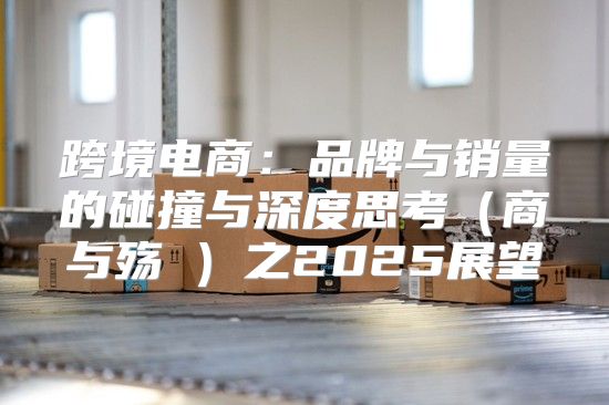 跨境电商：品牌与销量的碰撞与深度思考商与殇Ⅱ之2025展望