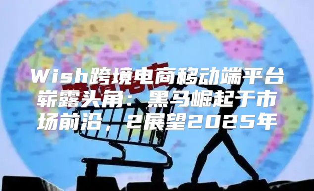 Wish跨境电商移动端平台崭露头角：黑马崛起于市场前沿，2展望2025年