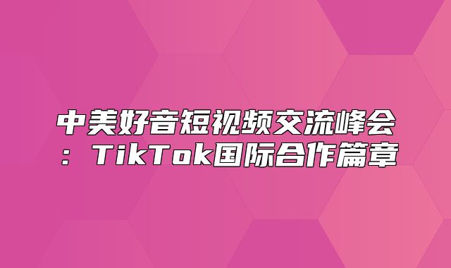 中美好音短视频交流峰会：TikTok国际合作篇章