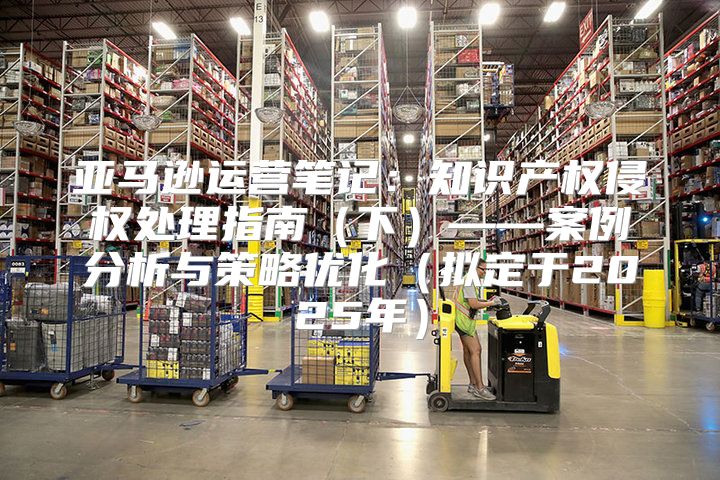 亚马逊运营笔记：知识产权侵权处理指南下——案例分析与策略优化拟定于2025年