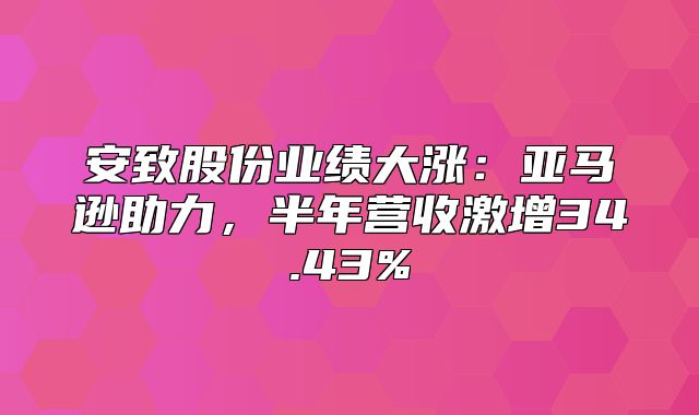 安致股份业绩大涨：亚马逊助力，半年营收激增34.43%