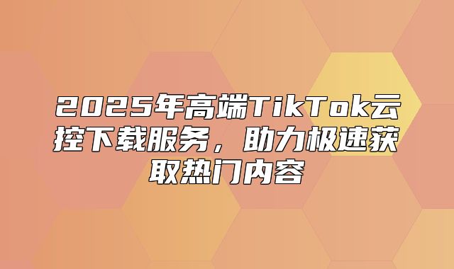 2025年高端TikTok云控下载服务，助力极速获取热门内容