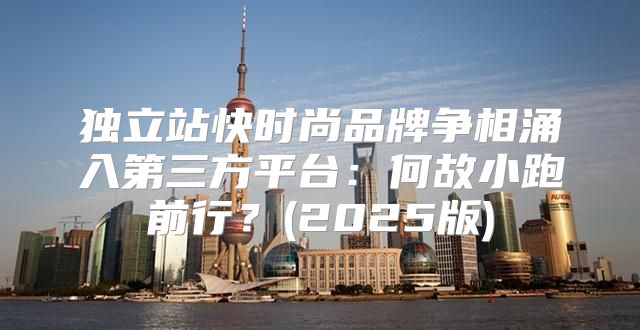 独立站快时尚品牌争相涌入第三方平台：何故小跑前行？(2025版)