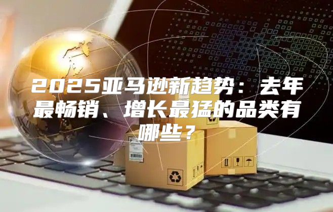 2025亚马逊新趋势：去年最畅销、增长最猛的品类有哪些？
