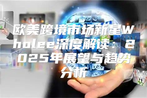 欧美跨境市场新星Wholee深度解读：2025年展望与趋势分析