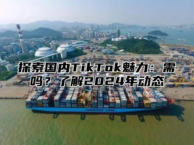 探索国内TikTok魅力：需吗？了解2025年动态