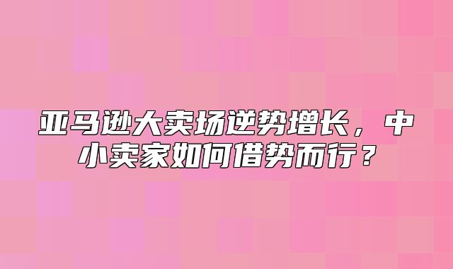亚马逊大卖场逆势增长，中小卖家如何借势而行？