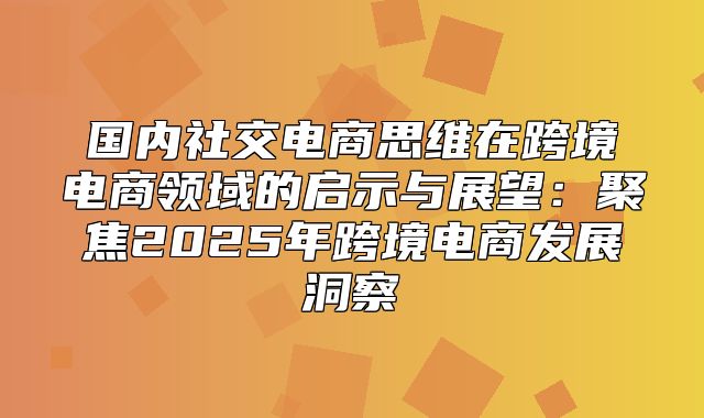 国内社交电商思维在跨境电商领域的启示与展望：聚焦2025年跨境电商发展洞察