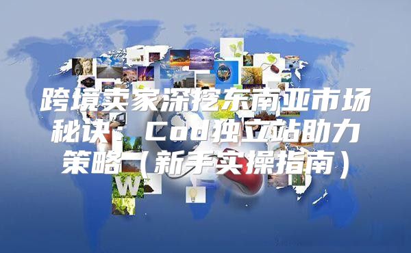 跨境卖家深挖东南亚市场秘诀：Cod独立站助力策略新手实操指南