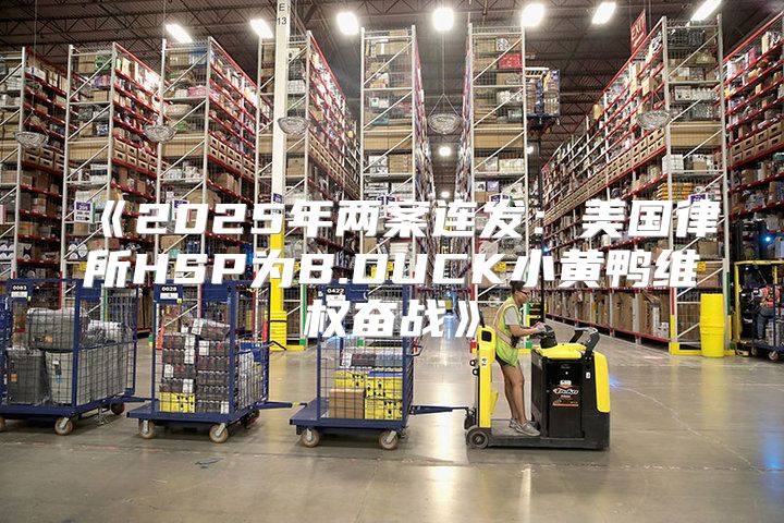 2025年两案连发：美国律所HSP为B.DUCK小黄鸭维权奋战