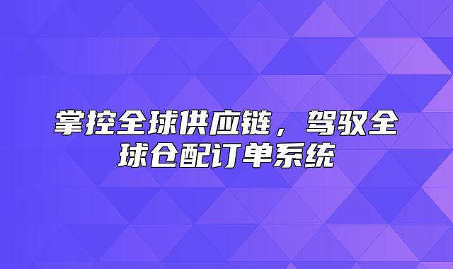 掌控全球供应链，驾驭全球仓配订单系统