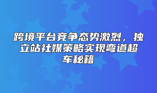 跨境平台竞争态势激烈，独立站社媒策略实现弯道超车秘籍