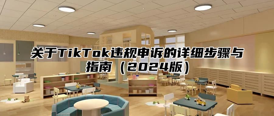 关于TikTok违规申诉的详细步骤与指南2025版