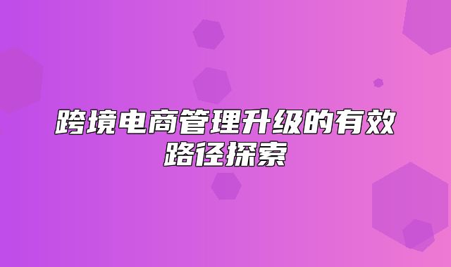 跨境电商管理升级的有效路径探索