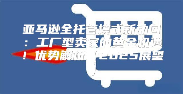 亚马逊全托管模式新动向：工厂型卖家的黄金机遇！优势解析2025展望
