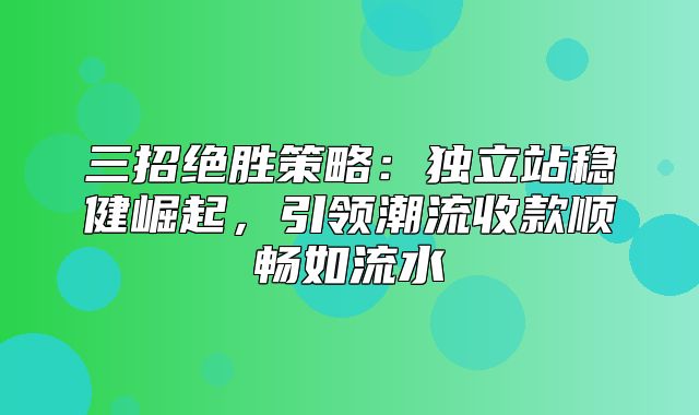 三招绝胜策略：独立站稳健崛起，引领潮流收款顺畅如流水