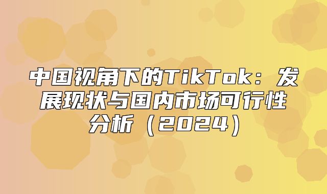 中国视角下的TikTok：发展现状与国内市场可行性分析2025