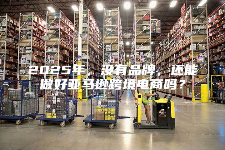 2025年，没有品牌，还能做好亚马逊跨境电商吗？