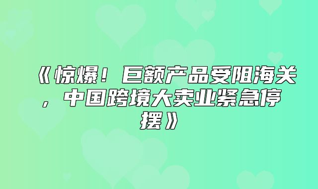 惊爆！巨额产品受阻海关，中国跨境大卖业紧急停摆