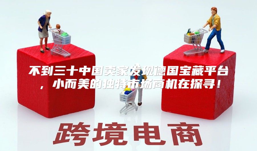 不到三十中国卖家发现德国宝藏平台，小而美的独特市场商机在探寻！