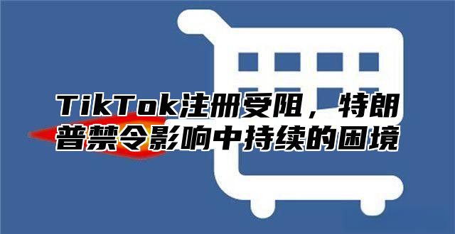 TikTok注册受阻，特朗普禁令影响中持续的困境