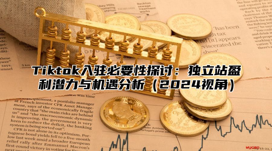 Tiktok入驻必要性探讨：独立站盈利潜力与机遇分析2025视角