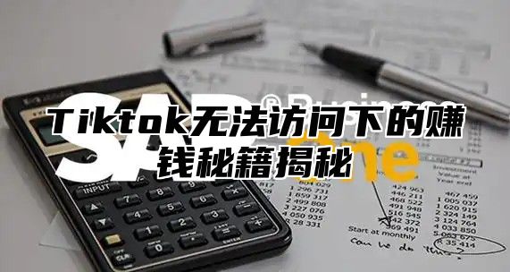 Tiktok无法访问下的赚钱秘籍揭秘