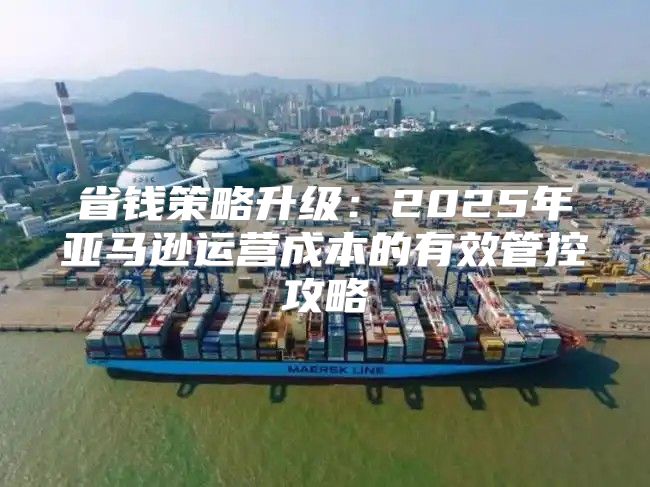 省钱策略升级：2025年亚马逊运营成本的有效管控攻略