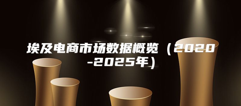 埃及电商市场数据概览2020-2025年