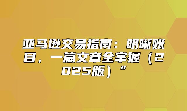 亚马逊交易指南：明晰账目，一篇文章全掌握2025版”